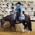 Mid South Quarter Horse Breeders Futurity